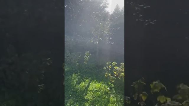 Выезд на участок в Наро-Фоминский район. Часть 3 #мособлбур