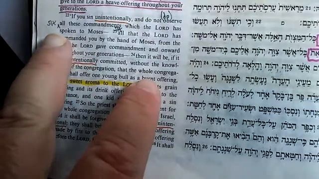 (#51) Yeshua (as Alef Tav) all the commandments AND all YHVH commanded | Num 15:22, 23 смотреть онлайн