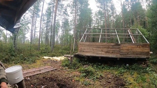 первые грибы. пешком в избу