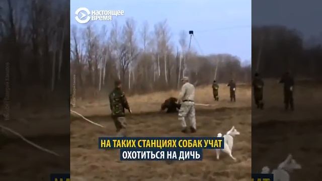 Молодой летчик смотреть онлайн