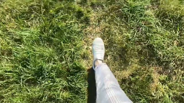 Размышления о жизни смотреть онлайн