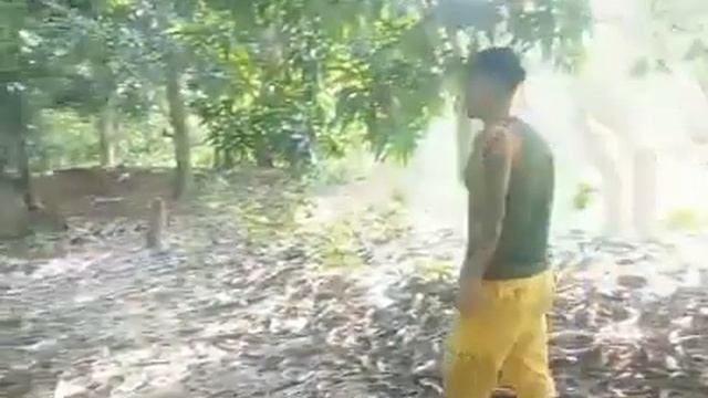 Pirata mato a cupido смотреть онлайн