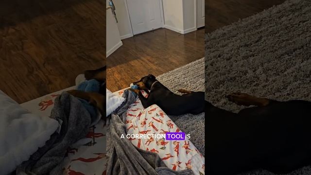 Corrections are necessary and not traumatizing. Here's the proof, with Miss Eris! смотреть онлайн