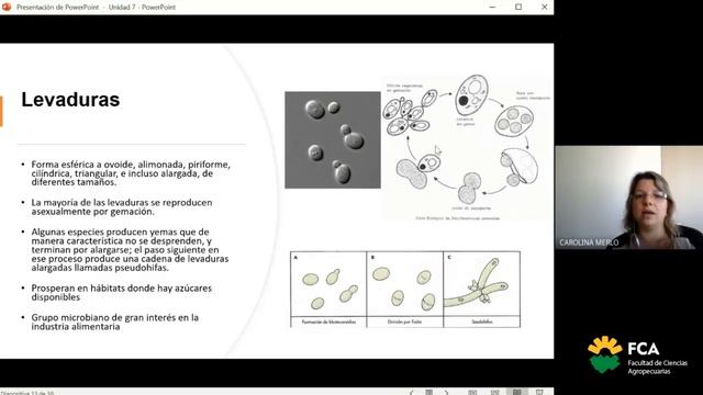 Clase Teórica Nº10 (Parte 4)