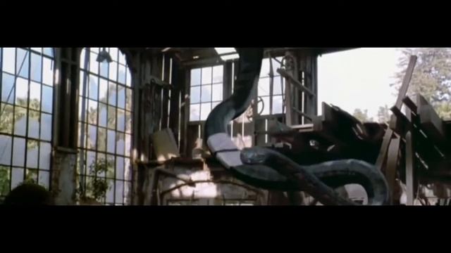 Anaconda 🪱 WhatsApp 🪱status 🥺#hollywoodstatus смотреть онлайн