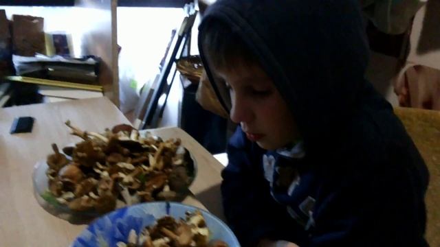 Поход в лес за грибами.