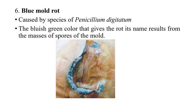 CONTAMINATION, PRESERVATION AND SPOILAGE OF FRUITS AND VEGETABLES смотреть онлайн