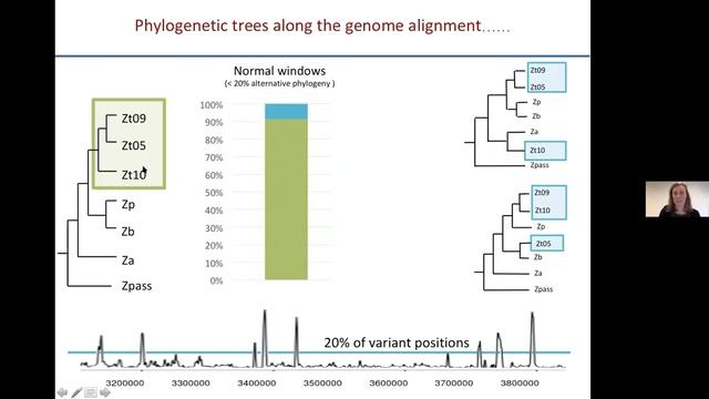 Eva Stukenbrock | Interspecific Hybridization In Fungal Grass Pathogens Shape Genome-wide Variation