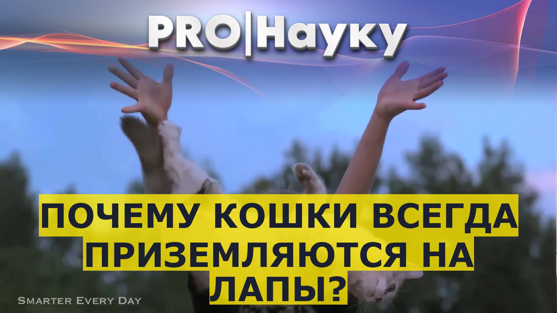 Почему кошки всегда приземляются на лапы? смотреть онлайн