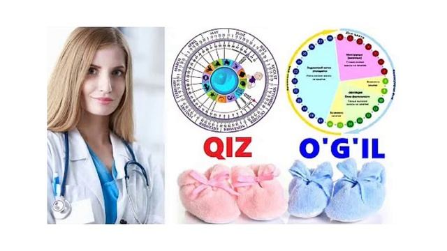 ХОМИЛА Ўғил ёки Қиз фарзанд  кўриш энди осон жинсий алоқа вақти HOMILA JINSINI ANIQLASH