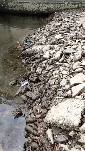 В Астрахани сбрасывают воду в городских каналах