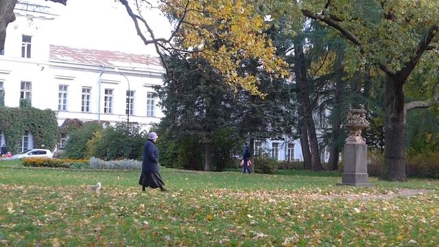 В парке Лесотехнической Академии смотреть онлайн