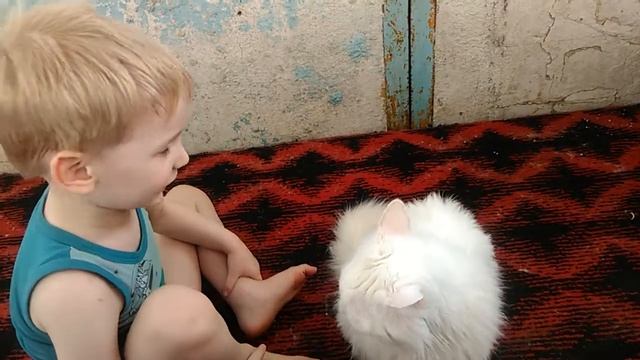 Кот Василий, так он молодец или глупенький?) смотреть онлайн