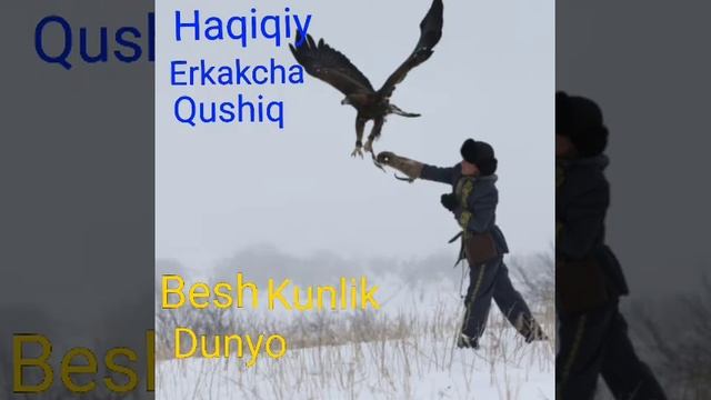 Burgut seni akam deganman kel смотреть онлайн
