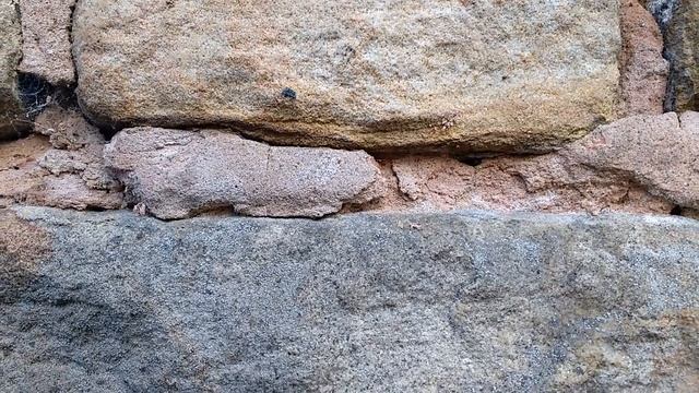 centipede runs into crack in stone wall смотреть онлайн