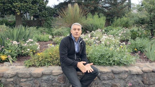 Stags' Leap Winery Viognier смотреть онлайн