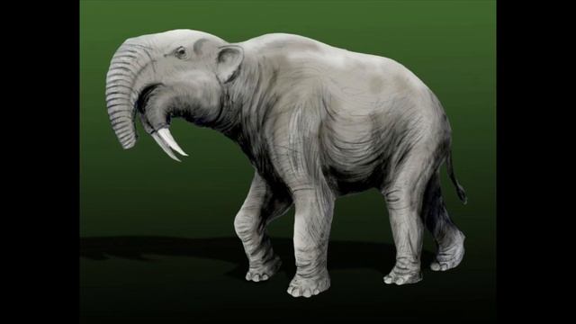 Sound Effects - Deinotherium