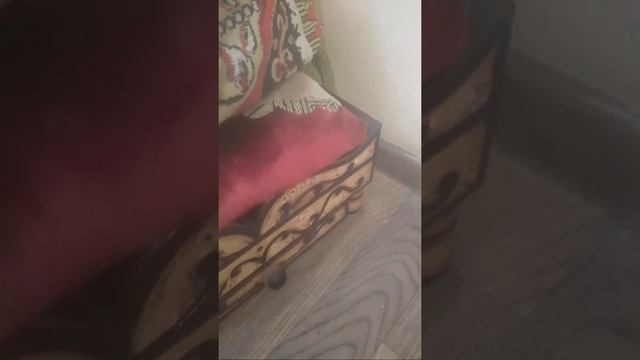 Очи Бентен Дига Влог Намекуна