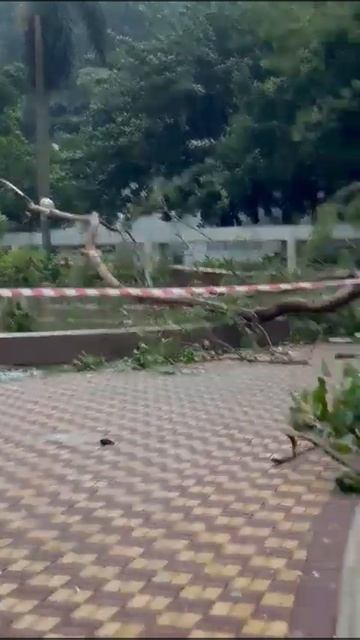 aftr T10 Saola#typhoon#hongkong смотреть онлайн