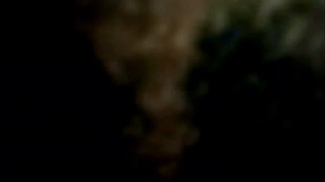 Как снималась пародия на грибы