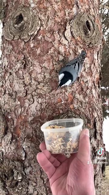 He told me where to put it смотреть онлайн