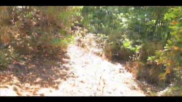 AVENTUREROS I OMARA Y DIEGO 01 01 14 смотреть онлайн