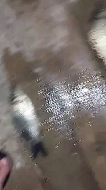 Ставок 2 смотреть онлайн