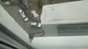 Птицы склевали теплоизоляцию кондиционера.