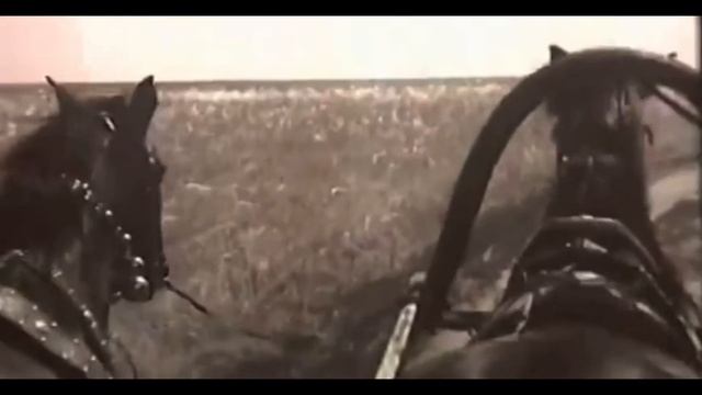 Жамбыл облысы Байзақ ауданы Сарыкемер ауылы смотреть онлайн