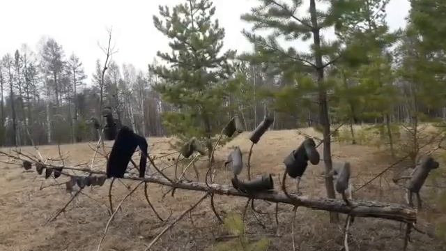 Захар смотреть онлайн