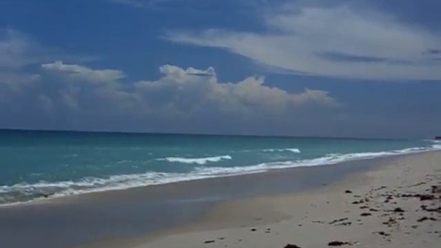 MIAMI 083 смотреть онлайн