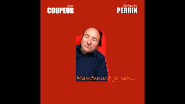 Alice COUPEUR & Christophe PERRIN - Maintenant Je Sais... (Cover) смотреть онлайн