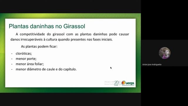 Apresentação Culturas Girassol e Milho смотреть онлайн