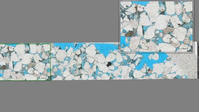 Leica Application Suite (LAS) Live Image Builder XY Demonstration смотреть онлайн