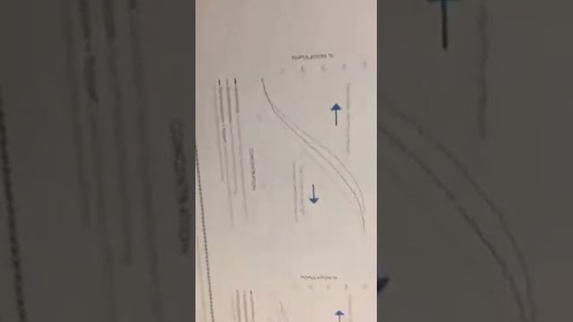 Andy Bailey Septoria Resistance Periscope
