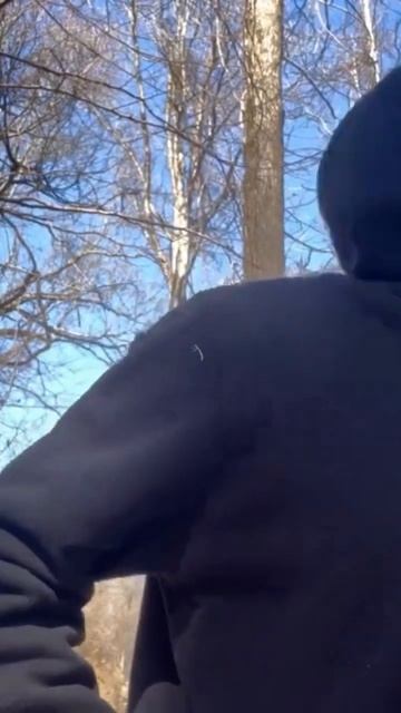 The dogs was coming for me #inthewoods #stayhigh #intheghetto #stoneradventures #entertainment #zaz смотреть онлайн