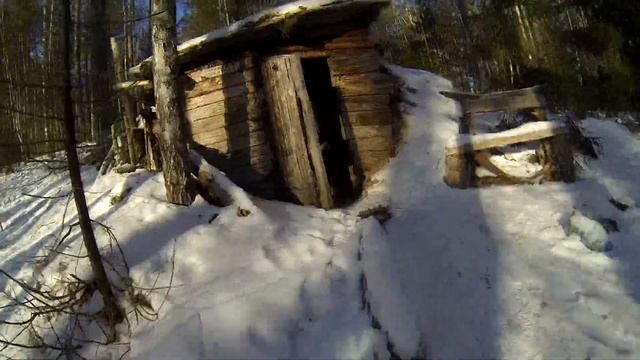 Зимний поход в лес смотреть онлайн