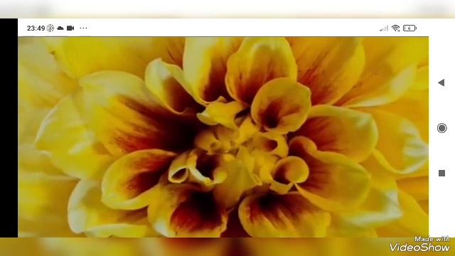 Video_20250203131802283_by_VideoShow.mp4