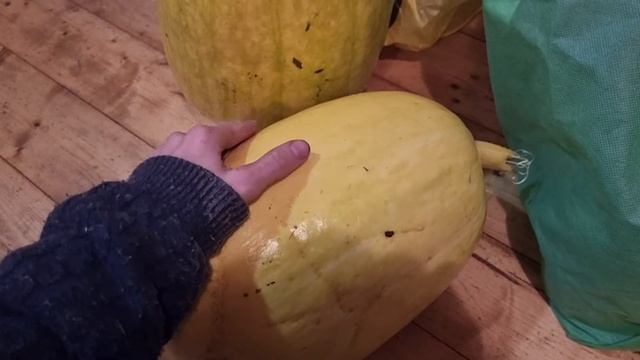 Урожай 10 сентября 2022 года