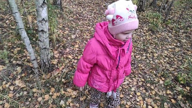 мухоморы смотреть онлайн