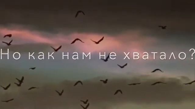 короткие видео для Инстаграма смотреть онлайн