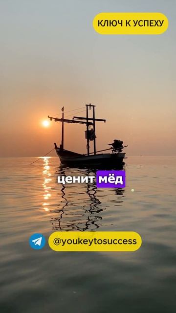 Пуд соли съевший выше ценит мёд #психология #мысли смотреть онлайн