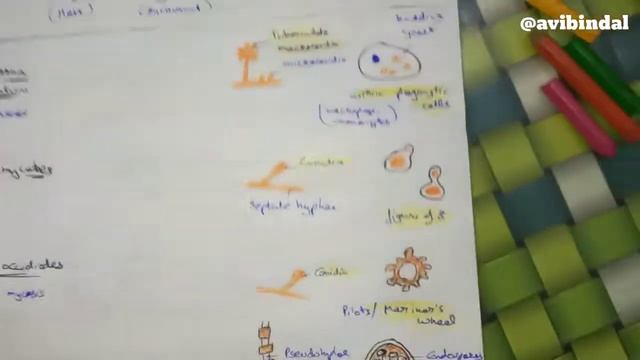 Dimorphic Fungi | Microbiology | Hindi |