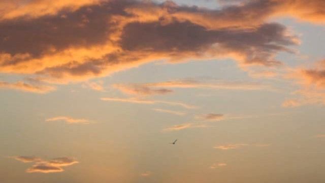 song of The Wanderer-- with lyrics смотреть онлайн