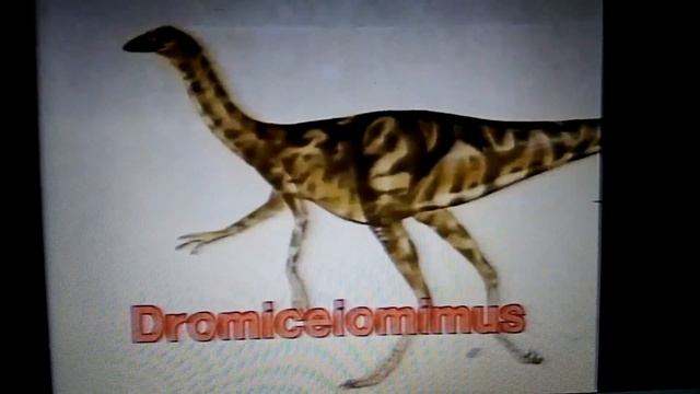 dinosaurs fun fact and fantasy review prehistoric animals appearance смотреть онлайн