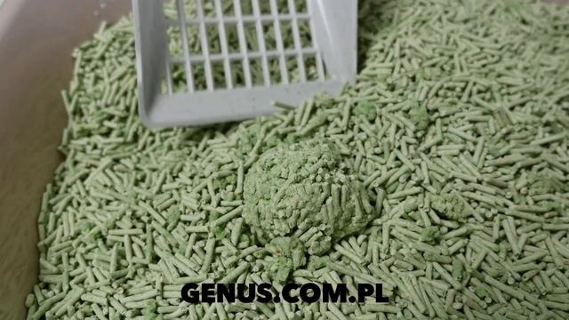 Jak Powinien Się Zbrylać żwirek Dla Kota? Co O Tym Wiesz? żwirki Dla Kota Są Różne, Trudno Wybrać