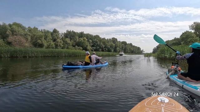 "Зеленый" САП. Часть 11 смотреть онлайн