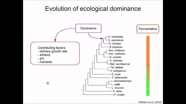 Justin Fay - PopGen Vienna Talk