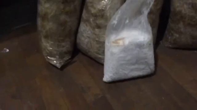 Подготовка высодки мицелий в блоки!