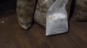 Подготовка высодки мицелий в блоки!